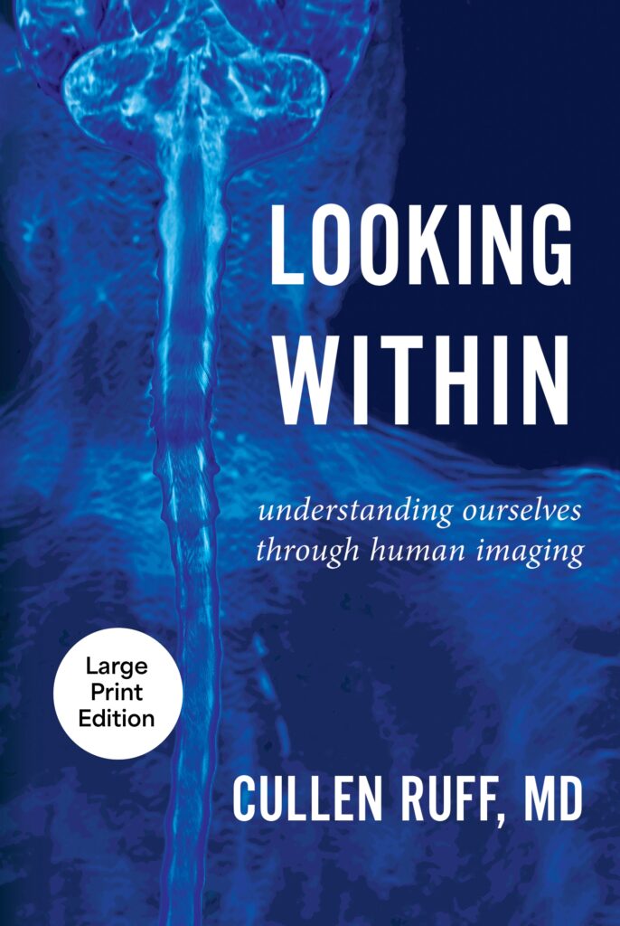 Looking Within Front Cover Large Print