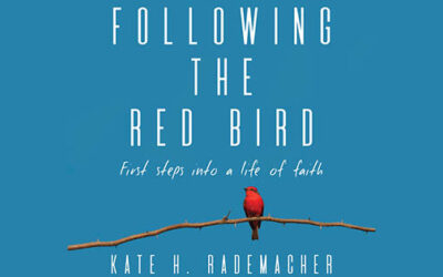 Ask the Author: Reflections of a Narrator & Author on Producing an Audiobook