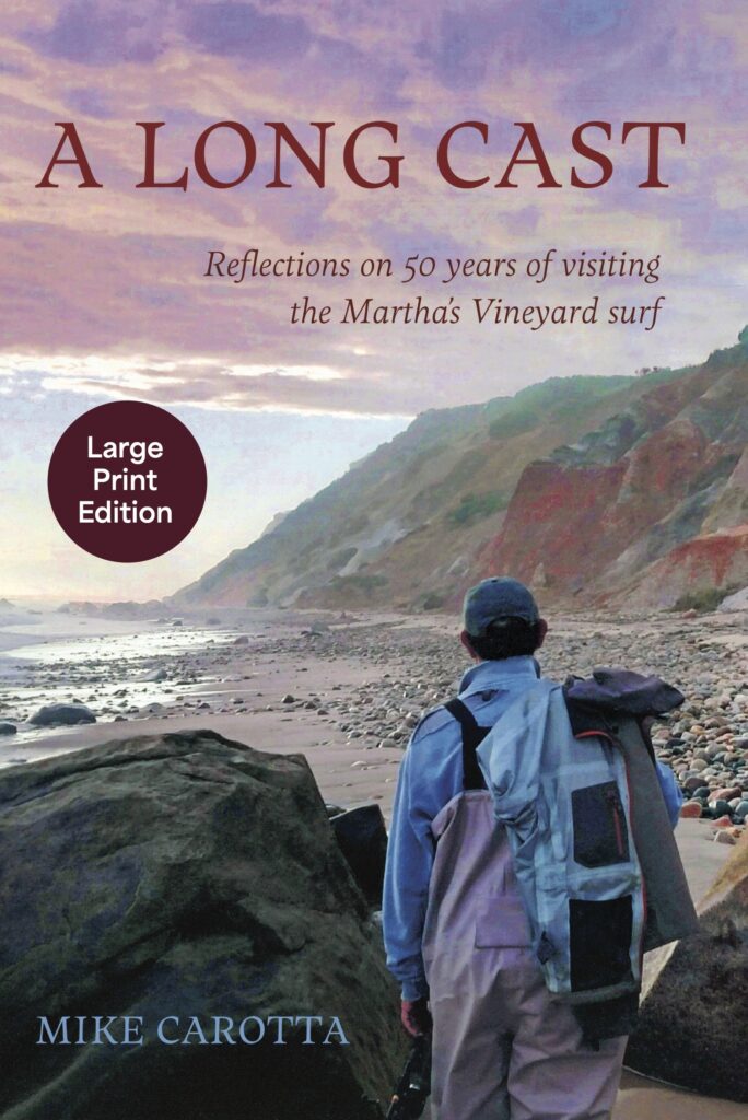 A Long Cast by Mike Carotta